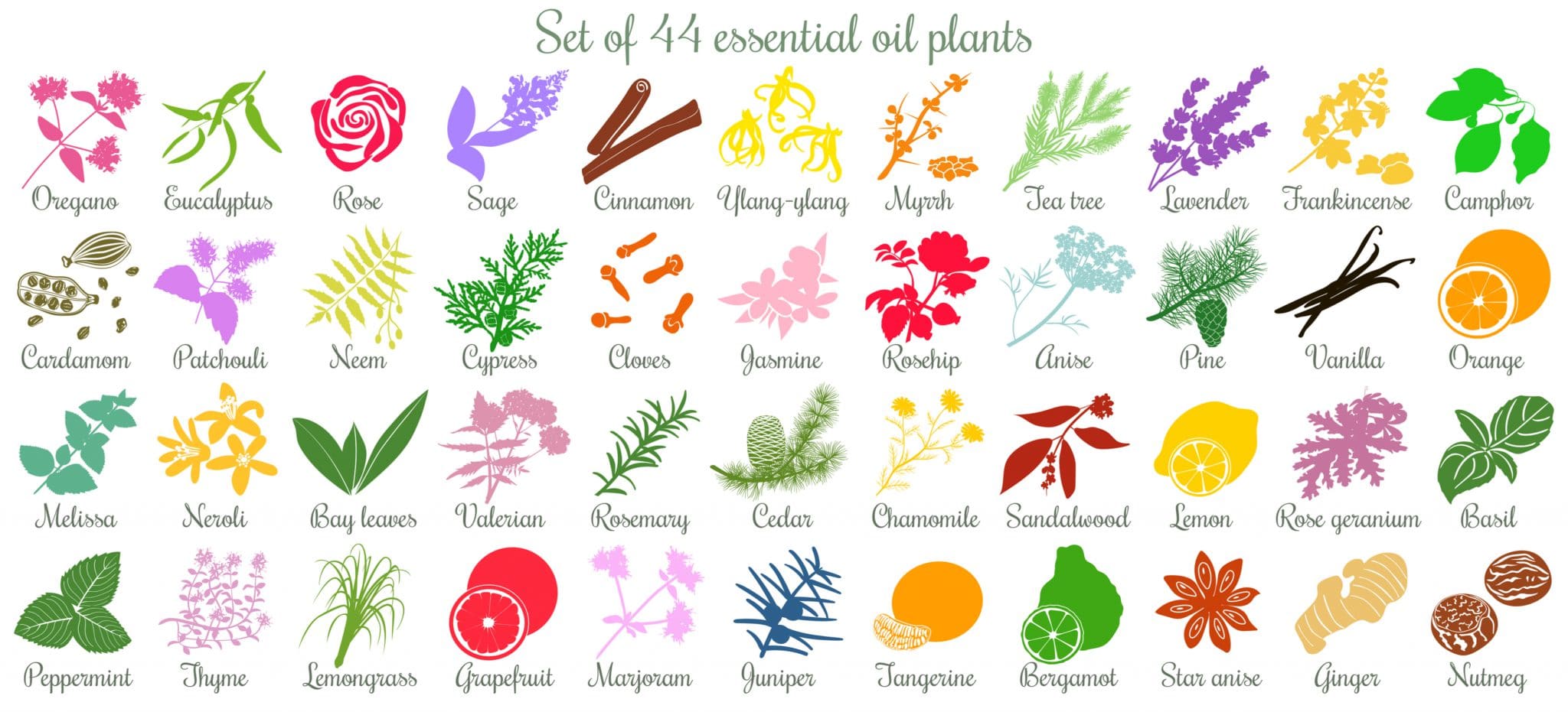 essential oil chart