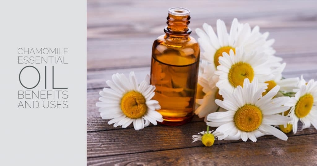 Chamomile Essential Oil Uses & Benefits - Sandra Bloom