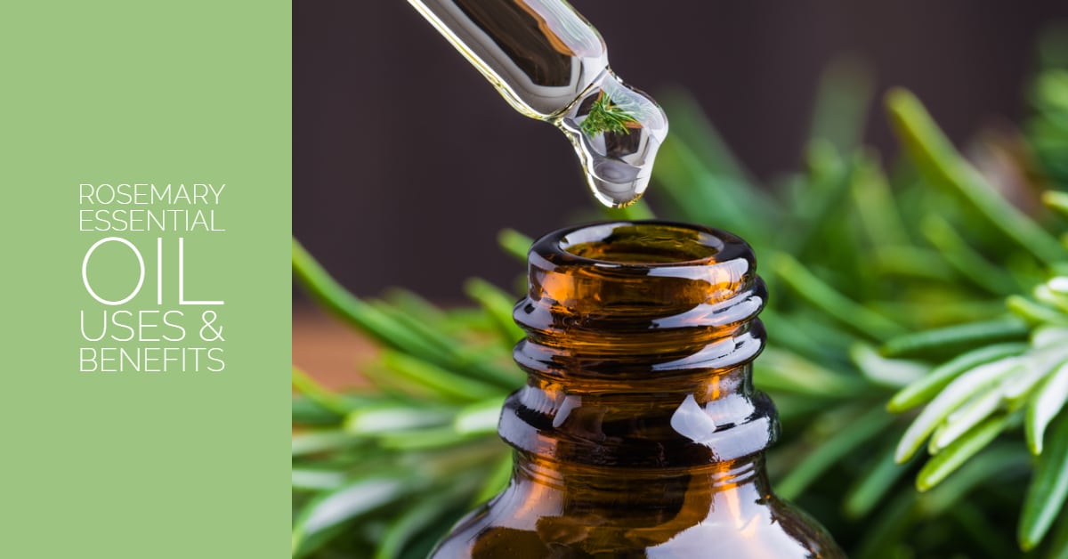 13 Amazing Benefits of Rosemary Essential Oil - Sandra Bloom